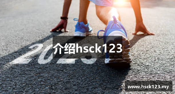 介绍hsck123
